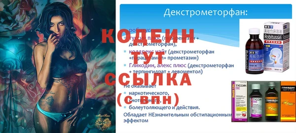 хмурый Покачи