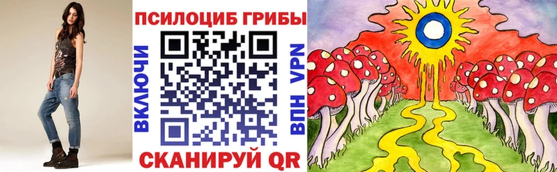купить наркоту  Сухой Лог  Галлюциногенные грибы прущие грибы 