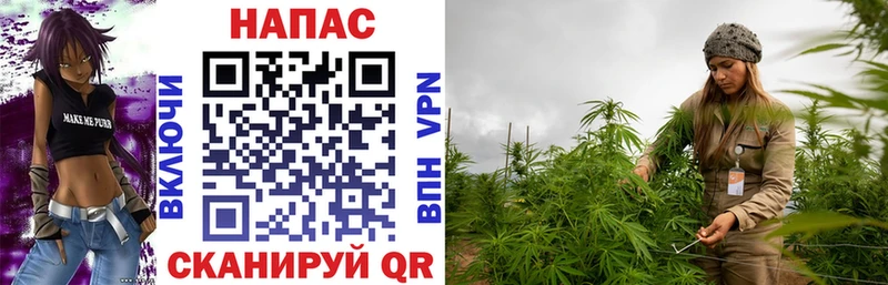 что такое   Сухой Лог  Каннабис White Widow 